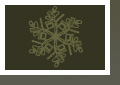 Accela Holiday eCard