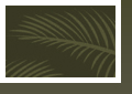 Accela User Conference Vinyl Banner