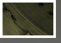 Accela Banner Stand